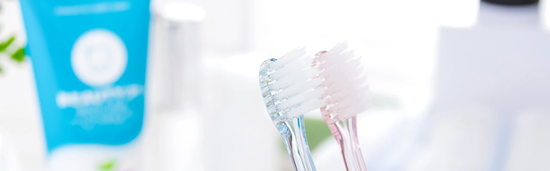 AdobeStock_453806145.jpg